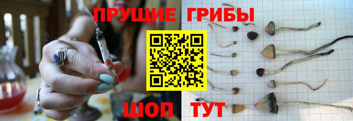 Нальчик  Галлюциногенные грибы GOLDEN TEACHER  Галлюциногенные грибы MAGIC MUSHROOMS  Вход с VPN 